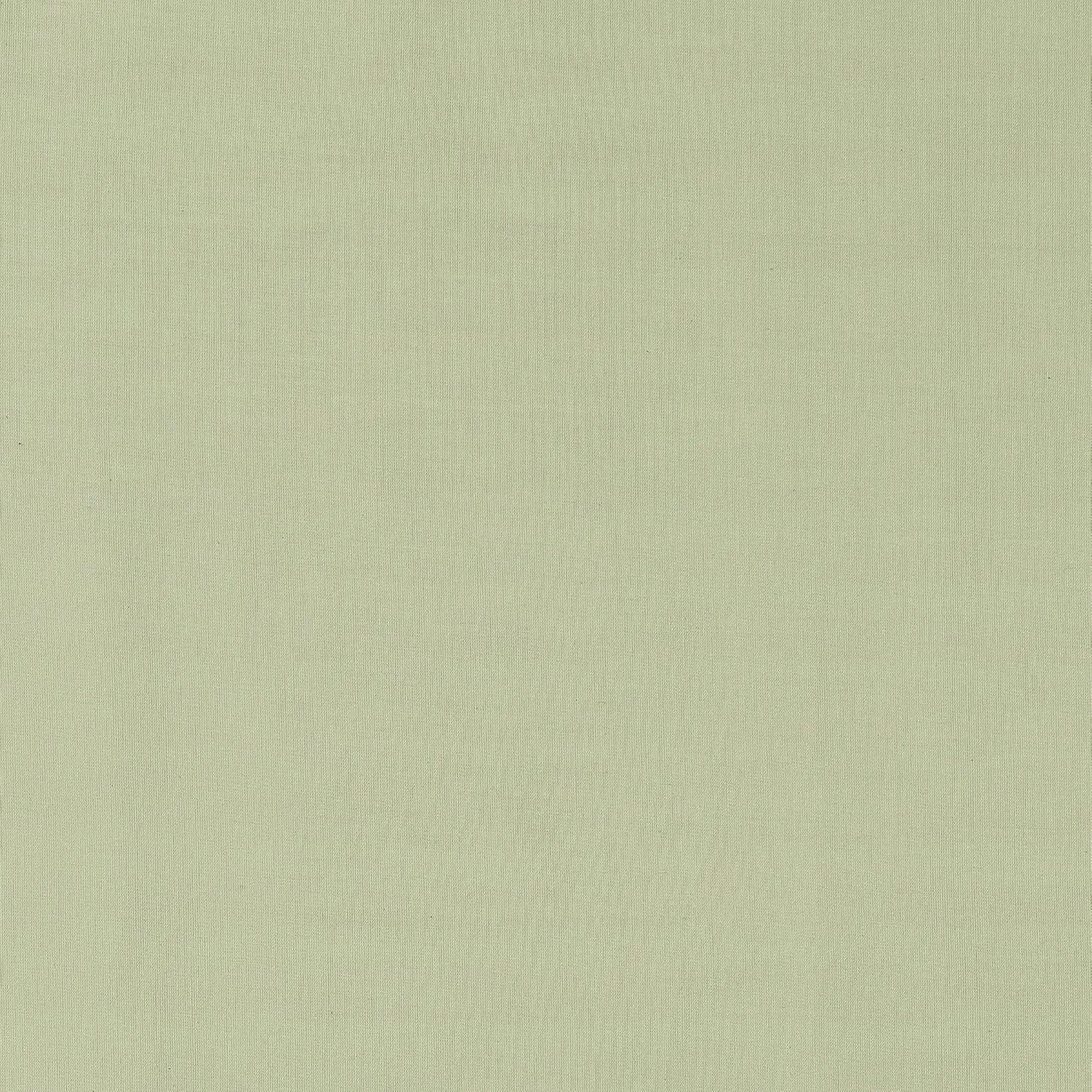 Archaeo 100% Cotton Sheer Curtain, 50" x 84, Moss Green