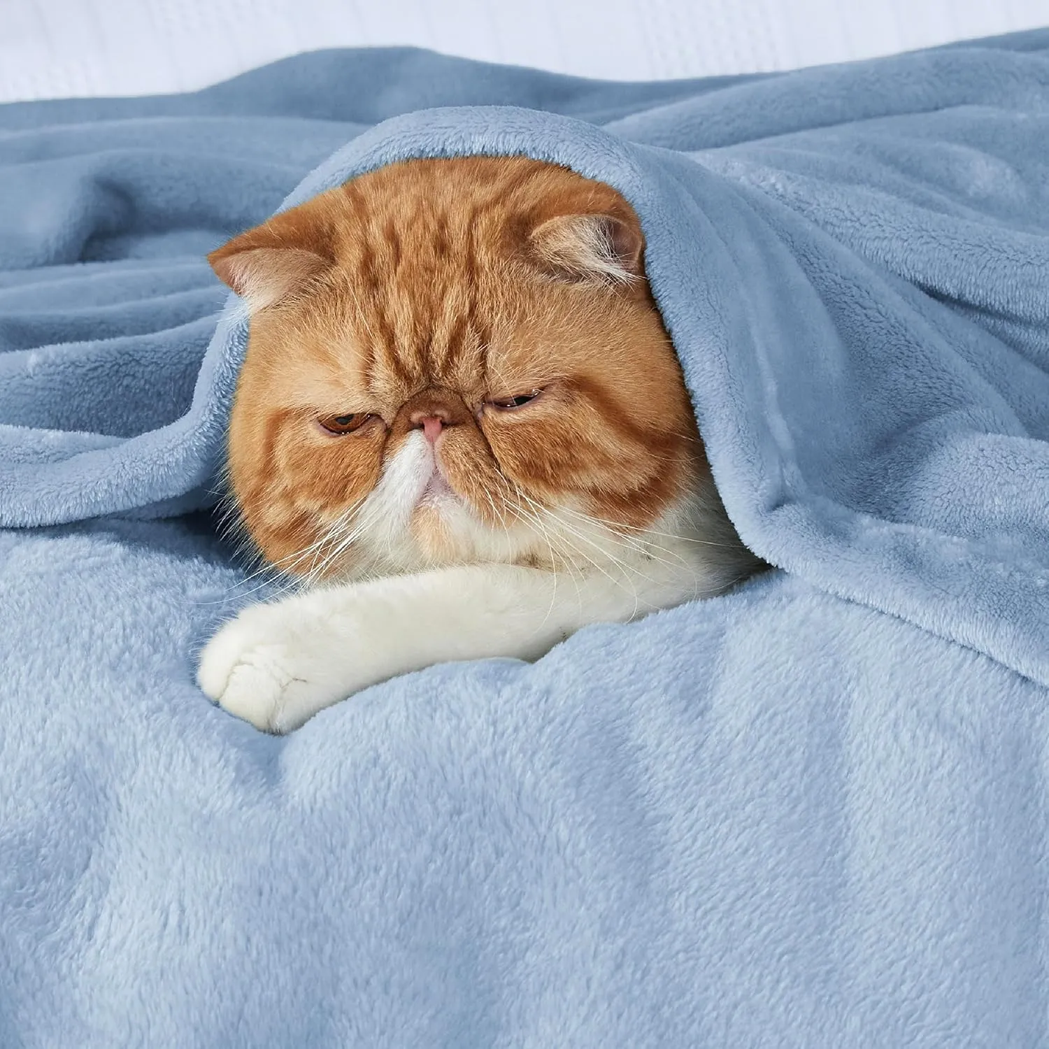 Bedsure Fleece Bed Blankets Queen Size Light Blue - Soft Lightweight Plush Fuzzy Cozy Luxury Blanket Microfiber, 90x90 inches