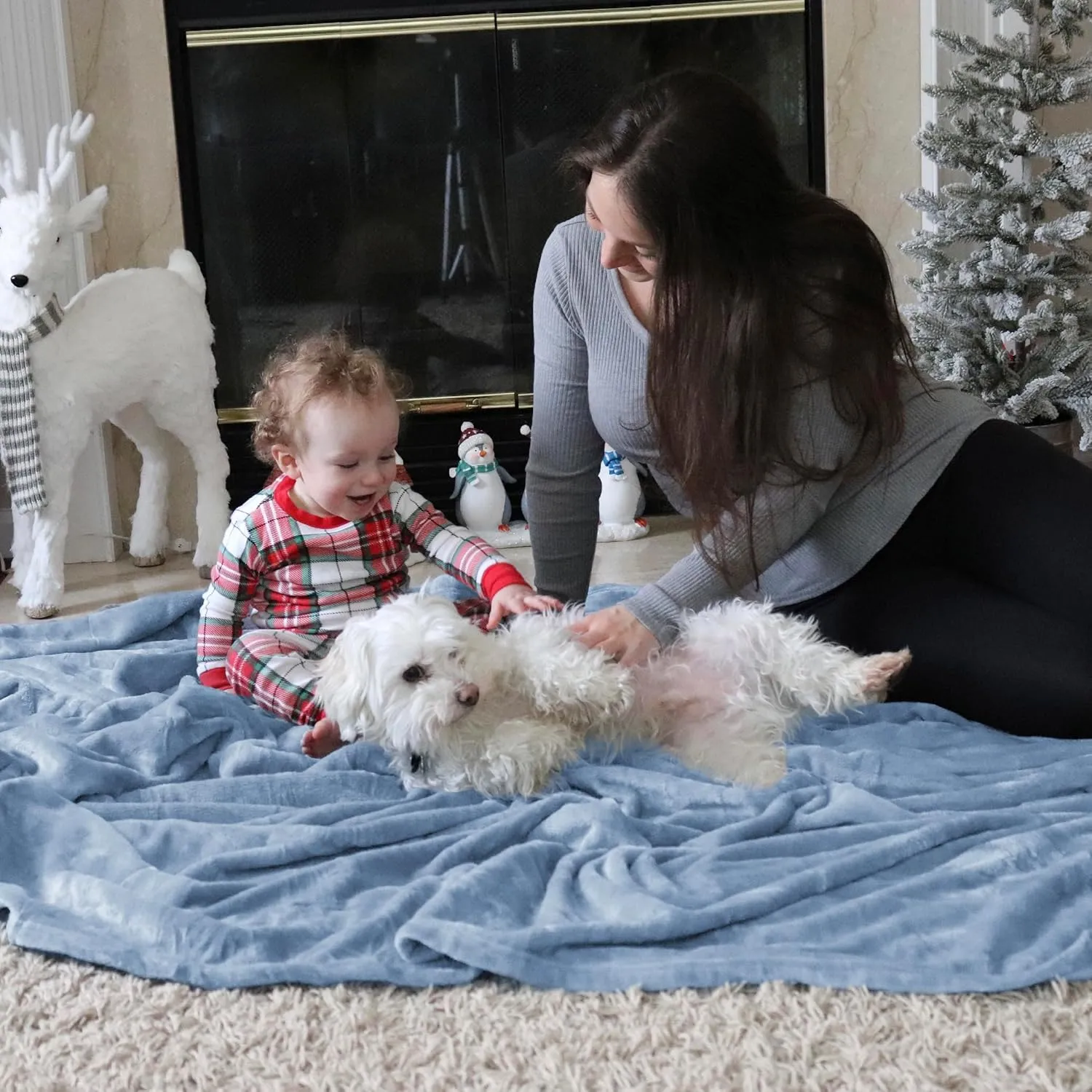 Bedsure Fleece Bed Blankets Queen Size Light Blue - Soft Lightweight Plush Fuzzy Cozy Luxury Blanket Microfiber, 90x90 inches