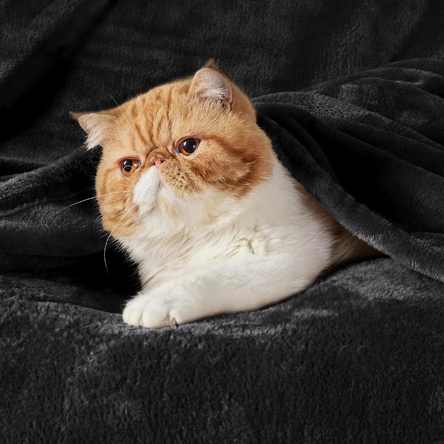 Bedsure Fleece Blankets King Size Black - Bed Blanket Soft Lightweight Plush Cozy Fuzzy Luxury Microfiber, 108x90 inches