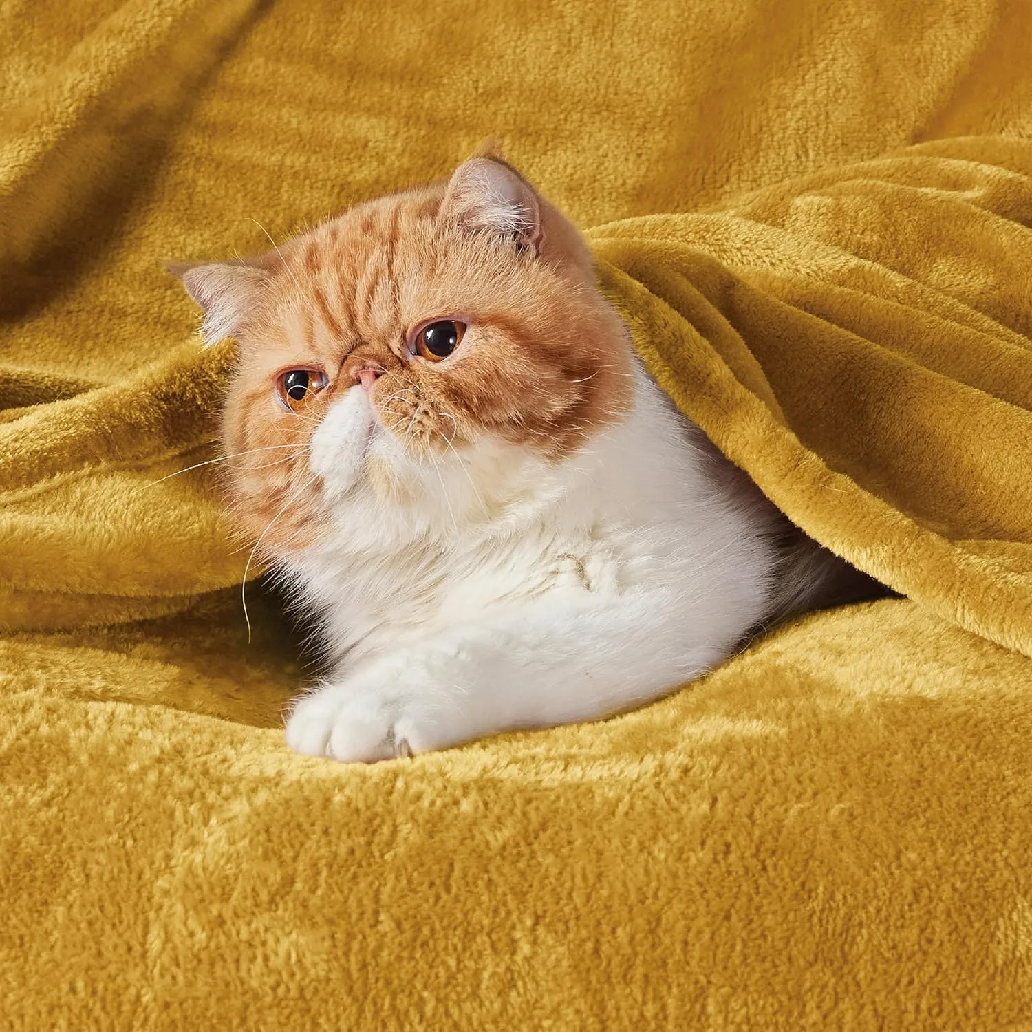Bedsure Mustard Yellow Fleece Throw Blanket - 300GSM Blankets for Couch, Sofa, Bed, Soft Lightweight Plush Cozy Throws for Toddlers, 50x60 inches