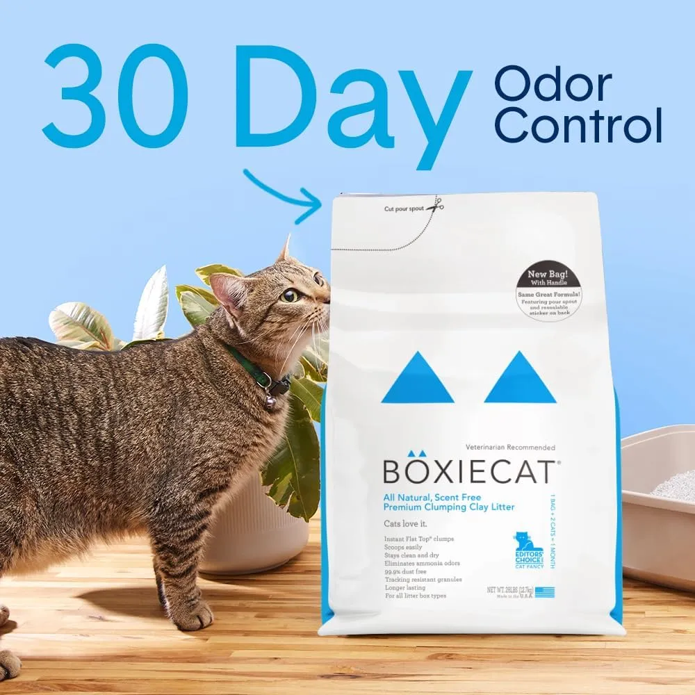 Boxie® Unscented 30 Day Odour Control Clumping Clay Cat & Kitty Litter 28 lb, 99.9% Dust-Free, Hard Flat Top® Clumps, No Fragrances No Fillers, Long-Lasting, Easy to Scoop