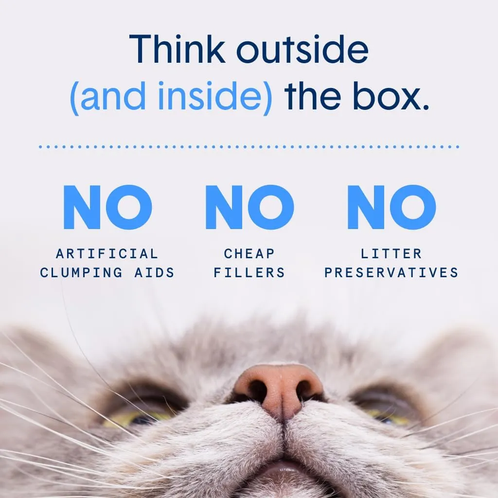 Boxie® Unscented 30 Day Odour Control Clumping Clay Cat & Kitty Litter 28 lb, 99.9% Dust-Free, Hard Flat Top® Clumps, No Fragrances No Fillers, Long-Lasting, Easy to Scoop