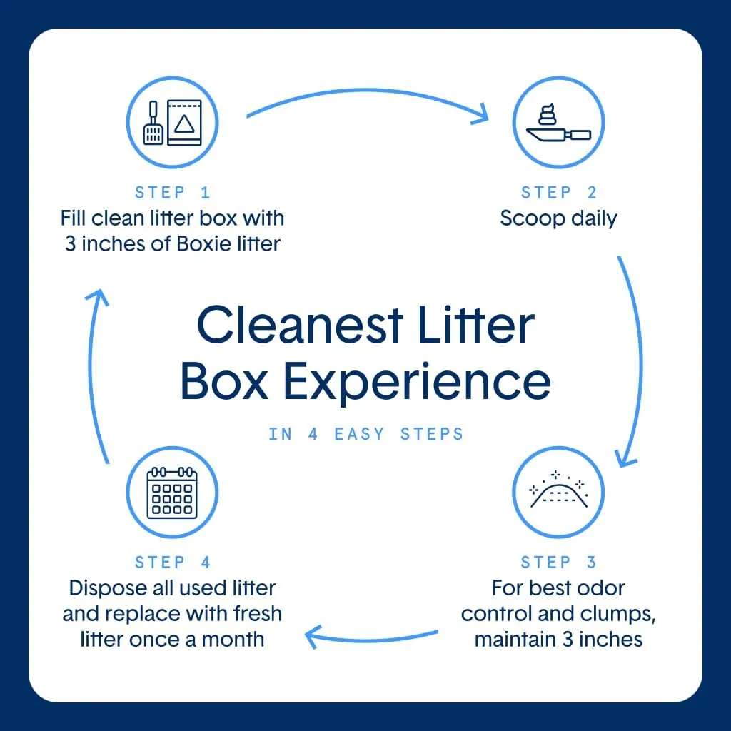 Boxie® Unscented 30 Day Odour Control Clumping Clay Cat & Kitty Litter 28 lb, 99.9% Dust-Free, Hard Flat Top® Clumps, No Fragrances No Fillers, Long-Lasting, Easy to Scoop