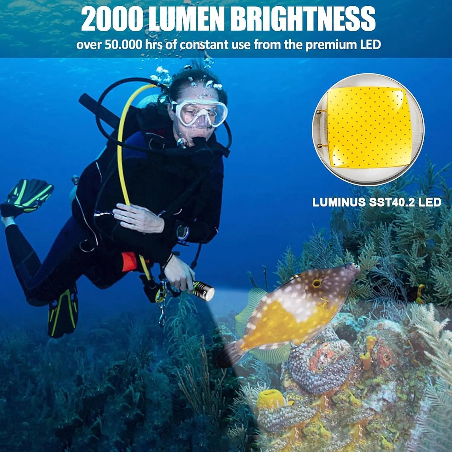 Dive Light, 2000 Lumen Underwater Flashlight, IPX8 Waterproof Scuba Diving Light, Professional Diving Flashlight, Snorkeling Light Scuba Diving Accessories with Rechargeable Battery