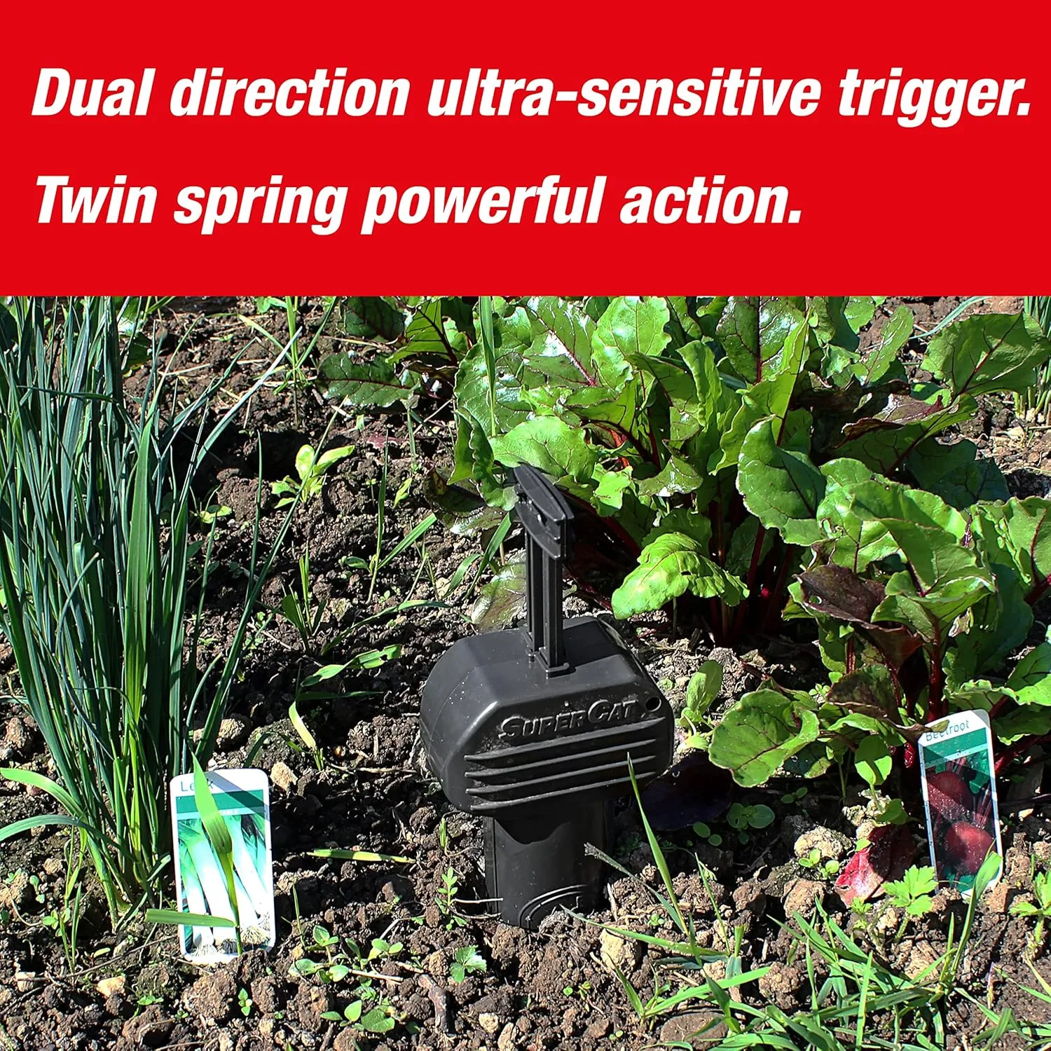 SWISSINNO Vole Trap PRO SuperCat - Control Voles and Field Mice - Unique Trigger Catch Action | Ultra-Effective with High Catch Rates - Easy to Setup, Safe and Reusable - Made in Europe: 2 Traps